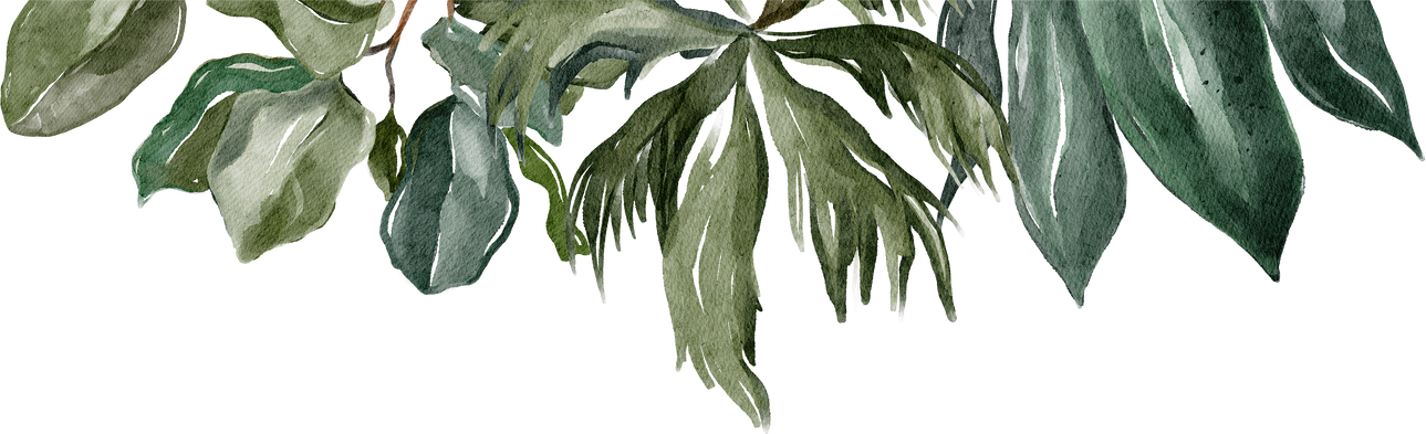 Tropical Leaves Element